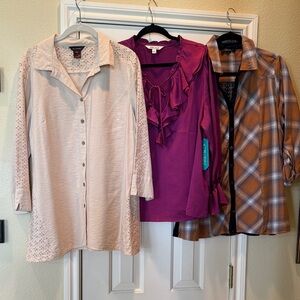 Multiples Cream, Maroon, and Brown Women's Tops Collection